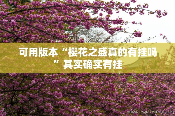 可用版本“樱花之盛真的有挂吗	”其实确实有挂