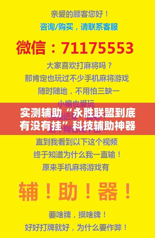 实测辅助“永胜联盟到底有没有挂”科技辅助神器手机版