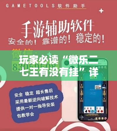玩家必读“微乐二七王有没有挂”详细分享装挂步骤