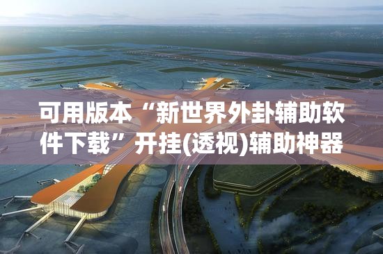 可用版本“新世界外卦辅助软件下载”开挂(透视)辅助神器