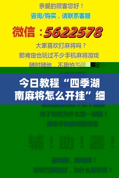 今日教程“四季湖南麻将怎么开挂	”细辅助教程分享