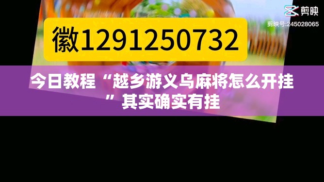 今日教程“越乡游义乌麻将怎么开挂”其实确实有挂