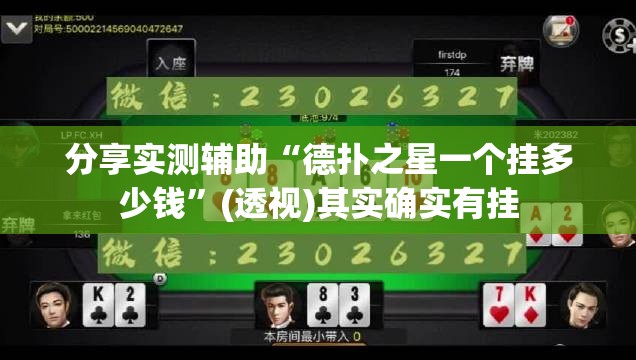 分享实测辅助“德扑之星一个挂多少钱”(透视)其实确实有挂
