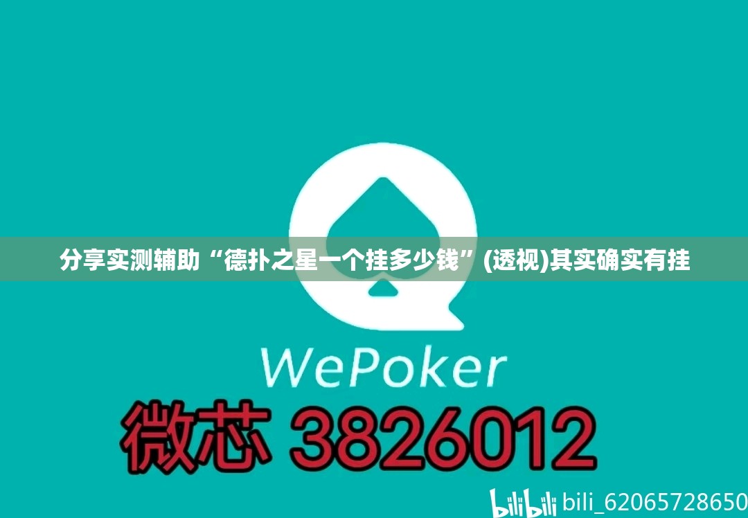 分享实测辅助“德扑之星一个挂多少钱”(透视)其实确实有挂