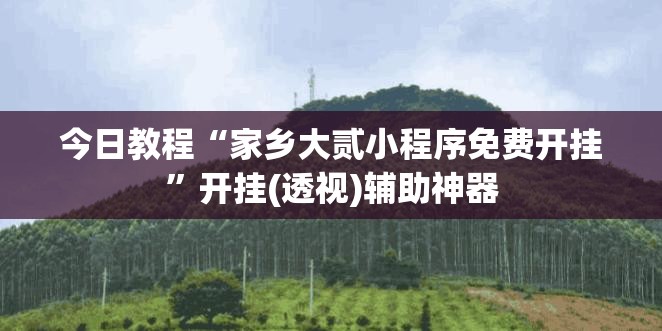 今日教程“家乡大贰小程序免费开挂”开挂(透视)辅助神器