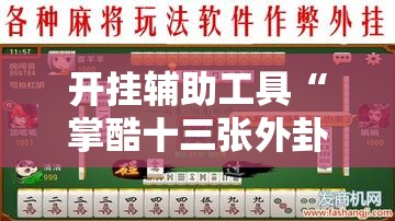 开挂辅助工具“掌酷十三张外卦辅助软件下载	”细辅助教程分享