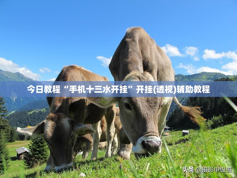 今日教程“手机十三水开挂”开挂(透视)辅助教程