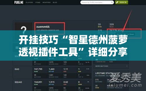 开挂技巧“智星德州菠萝透视插件工具”详细分享装挂步骤