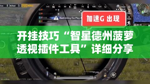 开挂技巧“智星德州菠萝透视插件工具	”详细分享装挂步骤