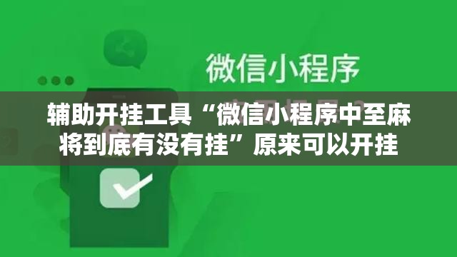辅助开挂工具“微信小程序中至麻将到底有没有挂”原来可以开挂
