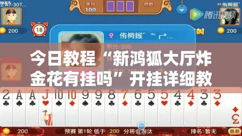 今日教程“新鸿狐大厅炸金花有挂吗”开挂详细教程