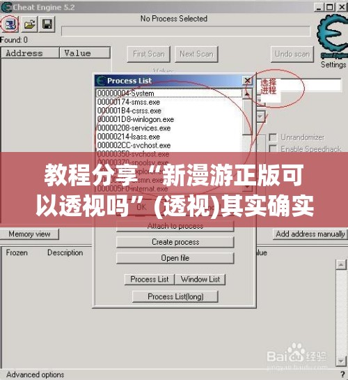 教程分享“新漫游正版可以透视吗	”(透视)其实确实有挂