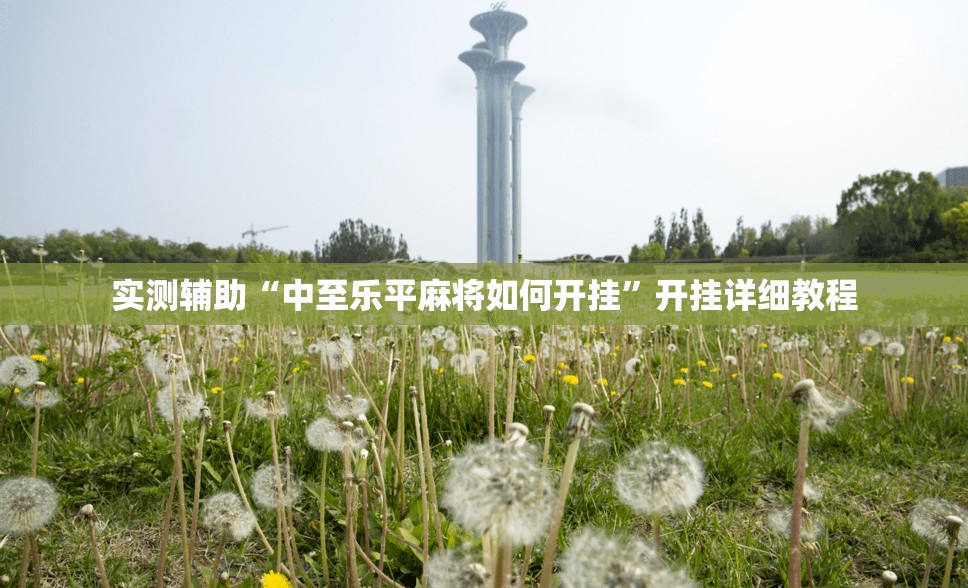 实测辅助“中至乐平麻将如何开挂”开挂详细教程