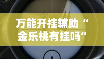 万能开挂辅助“金乐桃有挂吗	”其实确实有挂