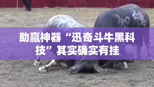 助赢神器“迅奇斗牛黑科技	”其实确实有挂
