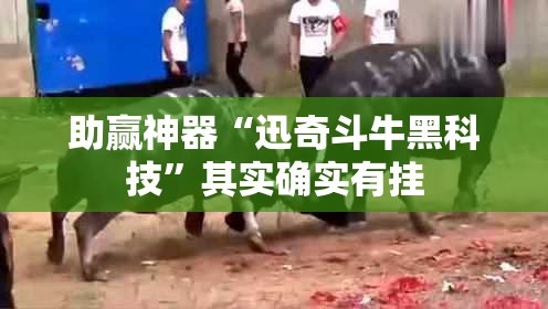 助赢神器“迅奇斗牛黑科技”其实确实有挂