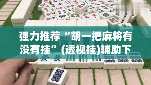 强力推荐“胡一把麻将有没有挂”(透视挂)辅助下载教程