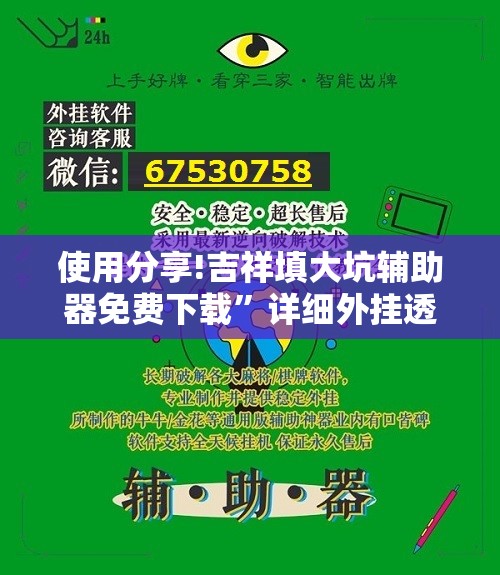 使用分享!吉祥填大坑辅助器免费下载”详细外挂透视辅助软件教程