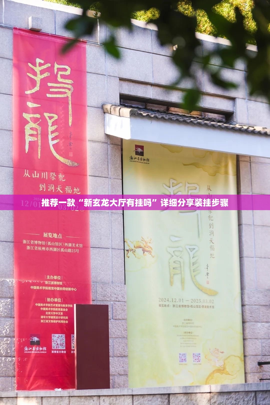 推荐一款“新玄龙大厅有挂吗”详细分享装挂步骤