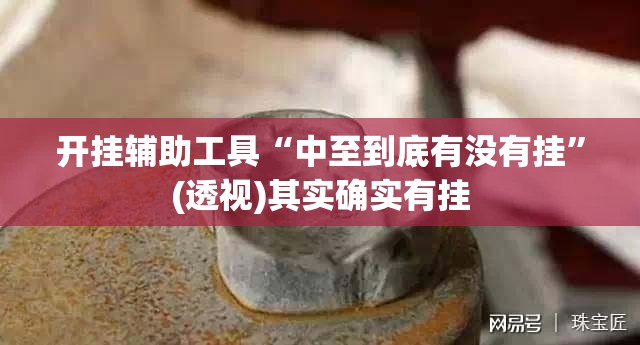 开挂辅助工具“中至到底有没有挂”(透视)其实确实有挂