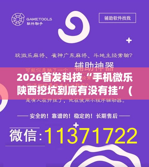 2026首发科技“手机微乐陕西挖坑到底有没有挂”(透视)其实确实有挂