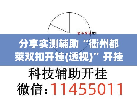 分享实测辅助“衢州都莱双扣开挂(透视)”开挂辅助脚本+详细开挂安装教程