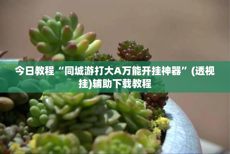 今日教程“同城游打大A万能开挂神器	”(透视挂)辅助下载教程