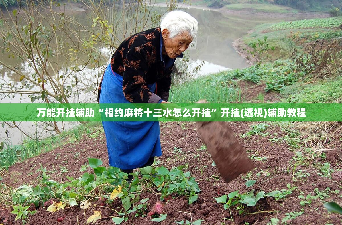 万能开挂辅助“相约麻将十三水怎么开挂”开挂(透视)辅助教程