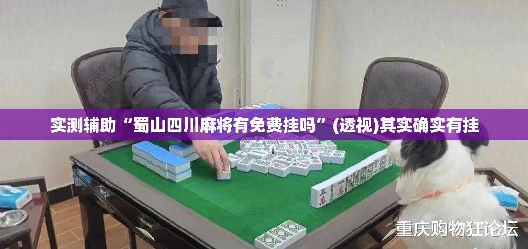 实测辅助“蜀山四川麻将有免费挂吗	”(透视)其实确实有挂