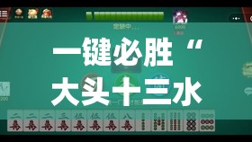 一键必胜“大头十三水怎么开挂”开挂(透视)辅助教程