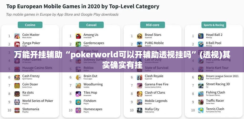 万能开挂辅助“pokerworld可以开辅助透视挂吗	”(透视)其实确实有挂