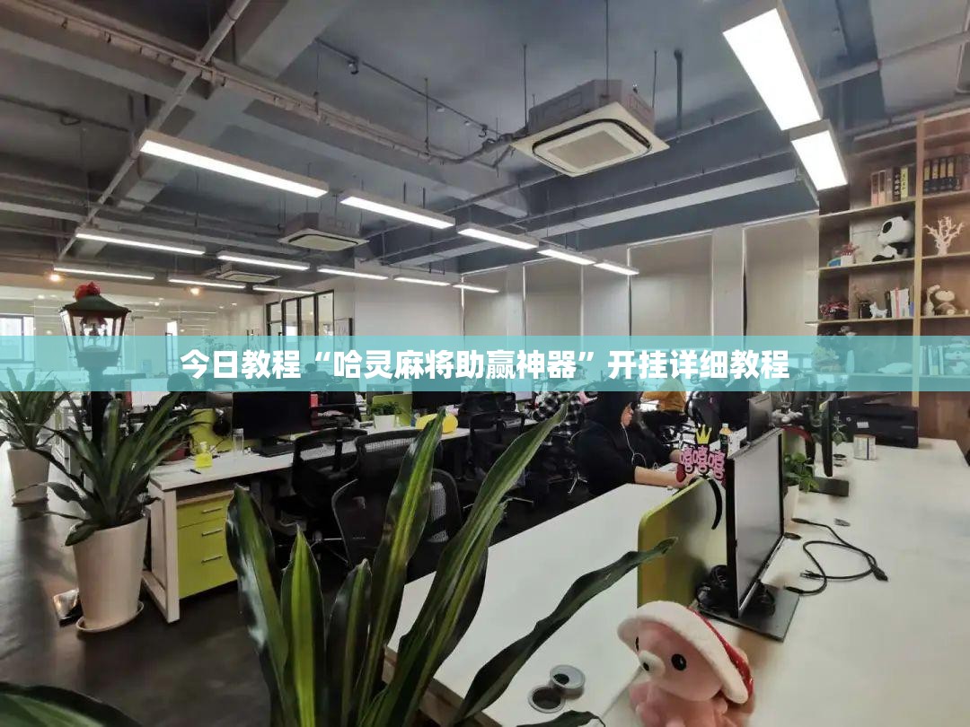 今日教程“哈灵麻将助赢神器”开挂详细教程