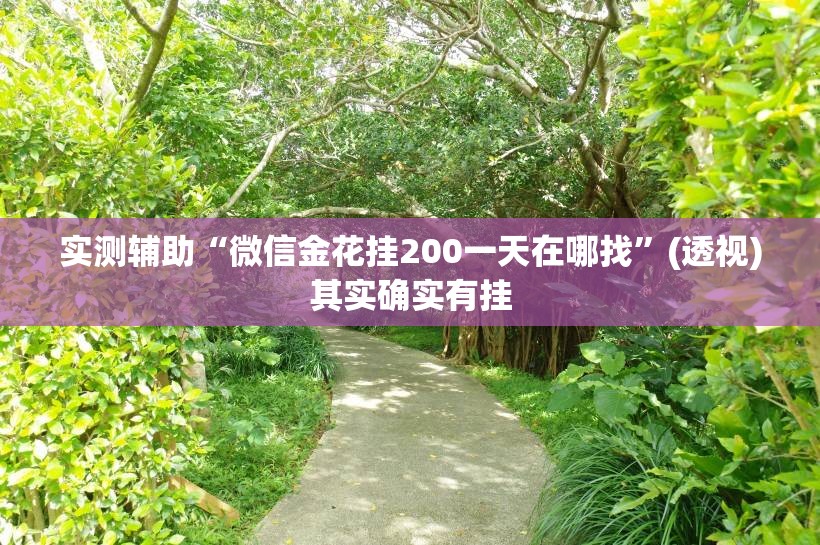 实测辅助“微信金花挂200一天在哪找”(透视)其实确实有挂