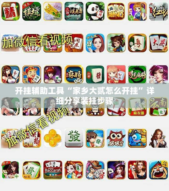 开挂辅助工具“家乡大贰怎么开挂”详细分享装挂步骤