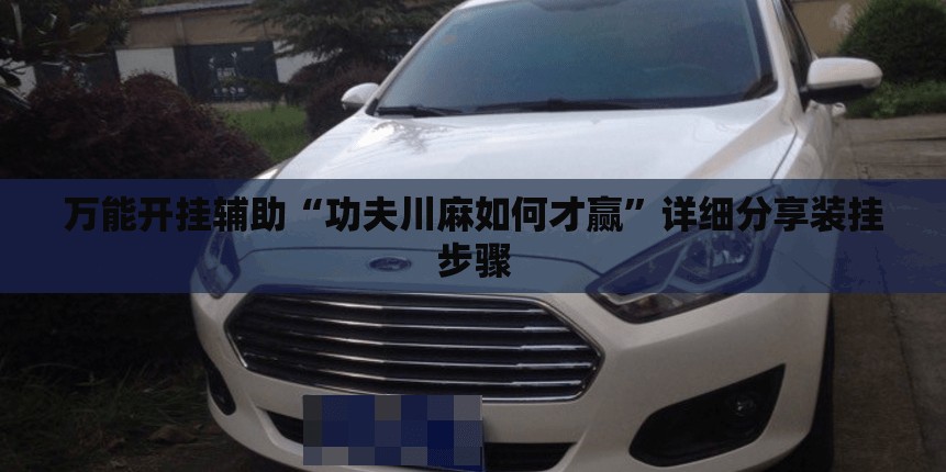 万能开挂辅助“功夫川麻如何才赢”详细分享装挂步骤