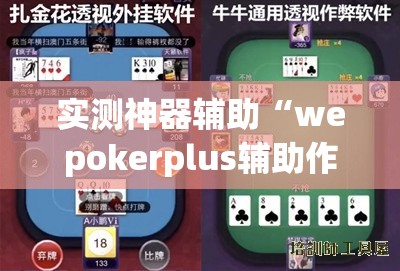 实测神器辅助“wepokerplus辅助作弊”开挂(透视)最新辅助详细