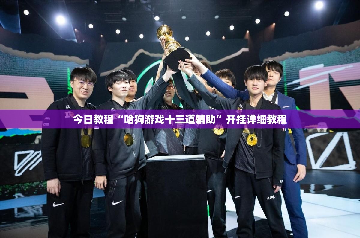 今日教程“哈狗游戏十三道辅助”开挂详细教程