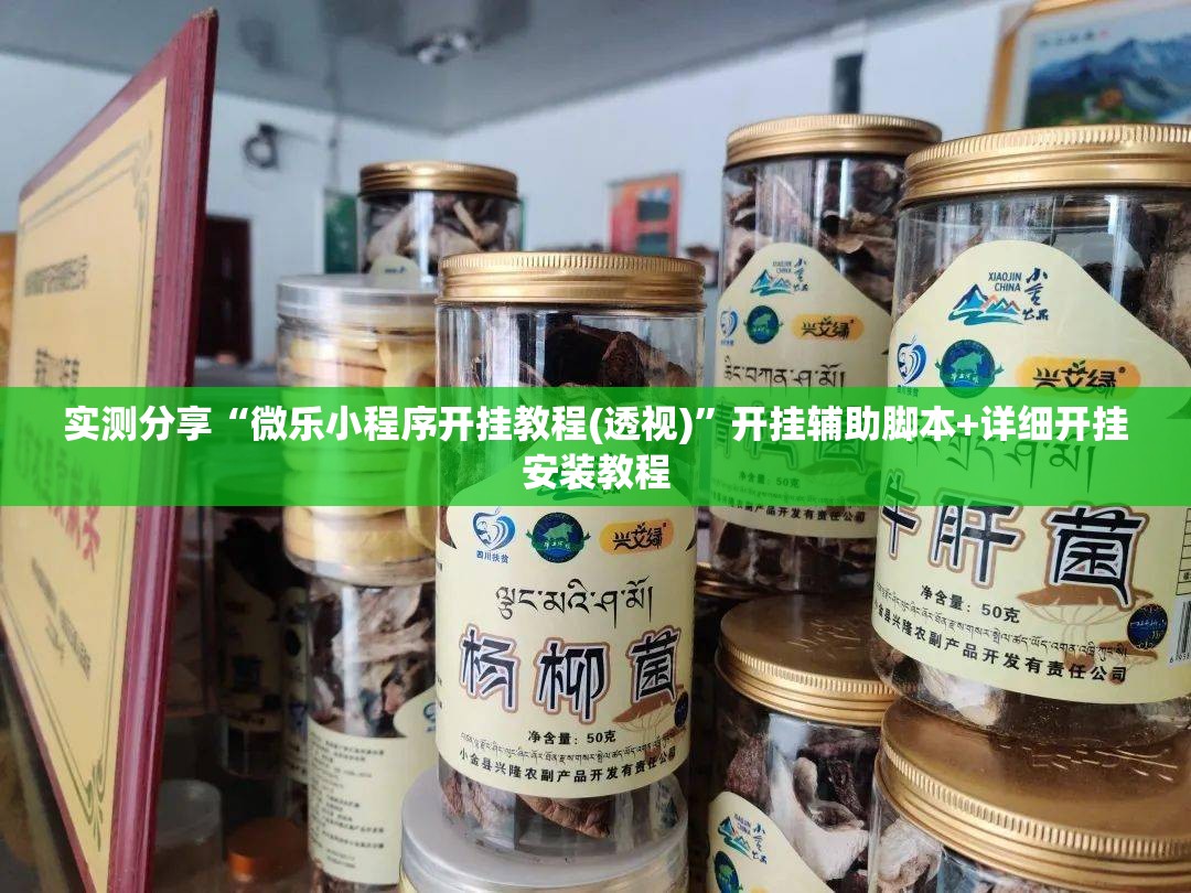 实测分享“微乐小程序开挂教程(透视)	”开挂辅助脚本+详细开挂安装教程