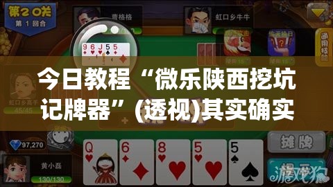 今日教程“微乐陕西挖坑记牌器	”(透视)其实确实有挂