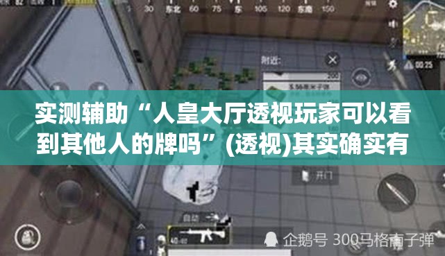 实测辅助“人皇大厅透视玩家可以看到其他人的牌吗”(透视)其实确实有挂