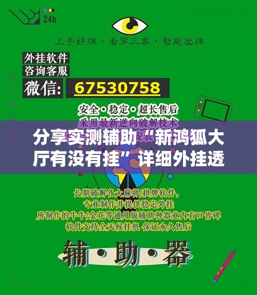 分享实测辅助“新鸿狐大厅有没有挂	”详细外挂透视辅助软件教程