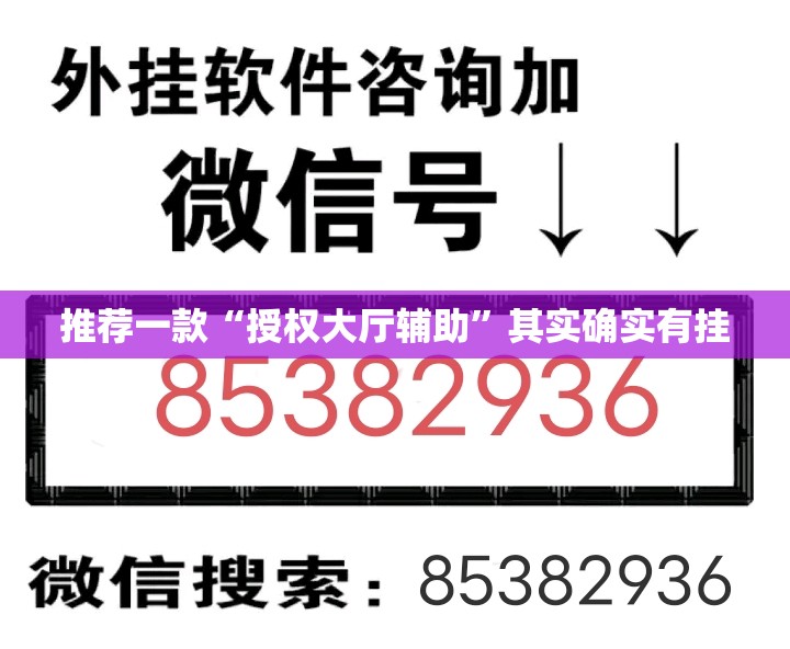 推荐一款“授权大厅辅助”其实确实有挂