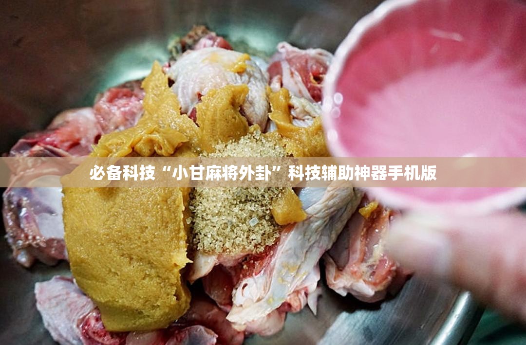 必备科技“小甘麻将外卦	”科技辅助神器手机版