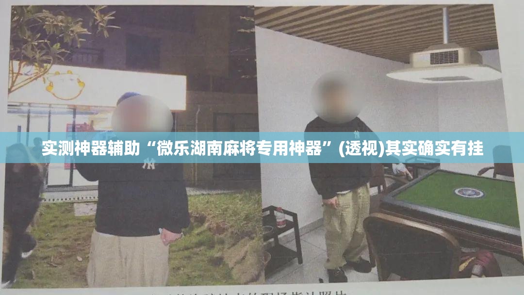 实测神器辅助“微乐湖南麻将专用神器”(透视)其实确实有挂