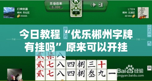 今日教程“优乐郴州字牌有挂吗”原来可以开挂