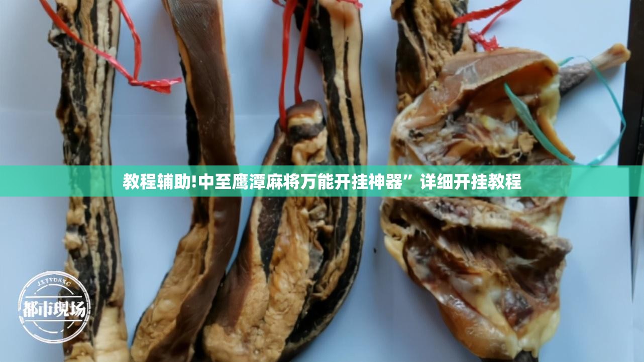 教程辅助!中至鹰潭麻将万能开挂神器”详细开挂教程