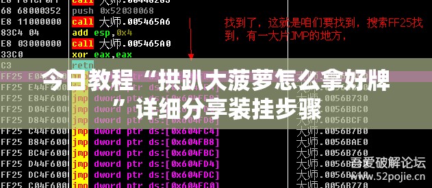 今日教程“拱趴大菠萝怎么拿好牌”详细分享装挂步骤