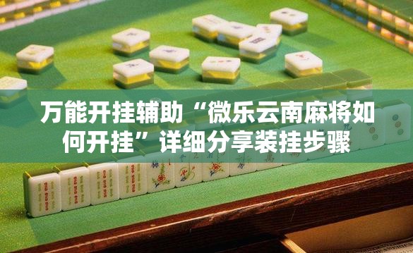 万能开挂辅助“微乐云南麻将如何开挂”详细分享装挂步骤