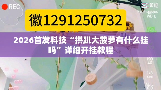 2026首发科技“拱趴大菠萝有什么挂吗”详细开挂教程