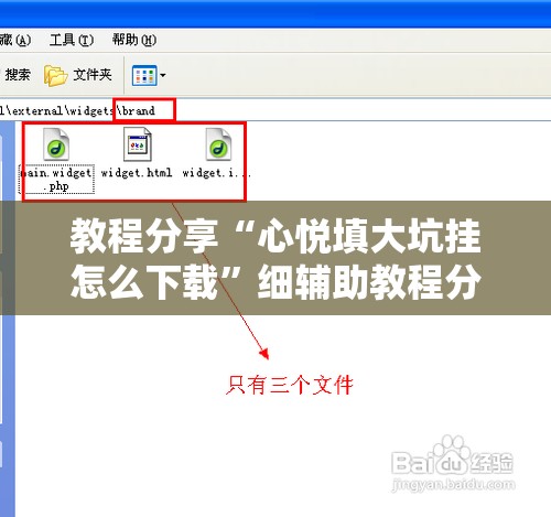 教程分享“心悦填大坑挂怎么下载	”细辅助教程分享